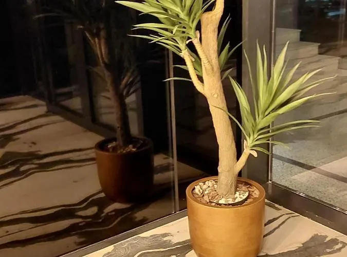 شقة Mamaia Nord Langa Mare Năvodari